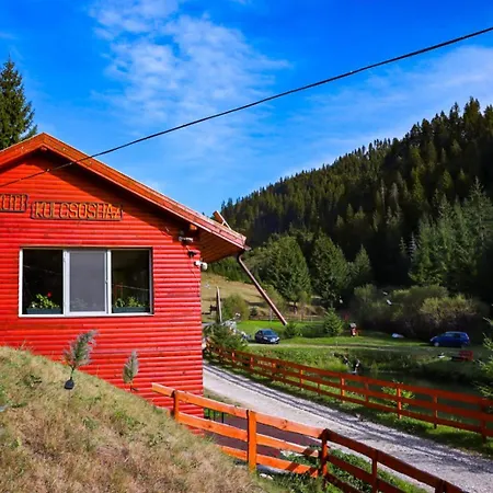 In Inima Muntilor - Galkuti Kulcsoshaz Holiday home *