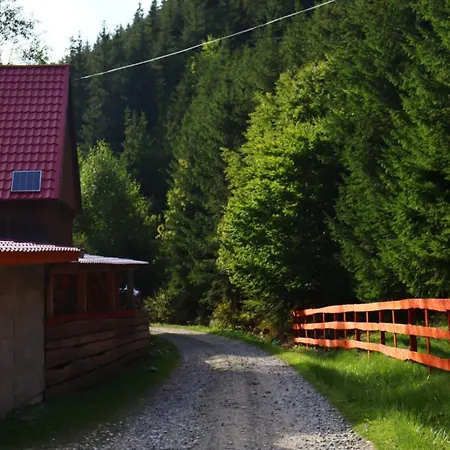 In Inima Muntilor - Galkuti Kulcsoshaz *