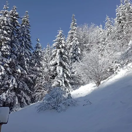 Holiday home In Inima Muntilor - Galkuti Kulcsoshaz Balan (Harghita)