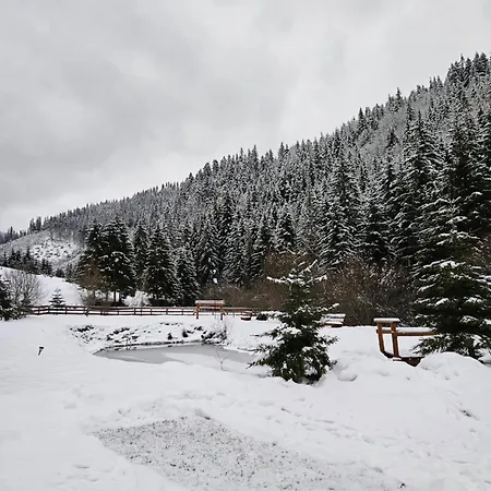 In Inima Muntilor - Galkuti Kulcsoshaz Holiday home